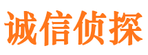 鹿邑市调查公司